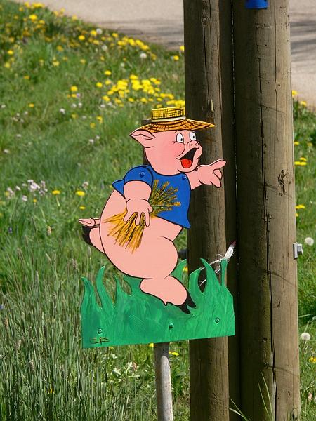 Mont Saint Michel 2010 - 201.jpg